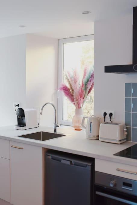 Appartement Aquaroom Rdc - Plage 50M - Rue Gratuite Saint-Malo Exteriör bild